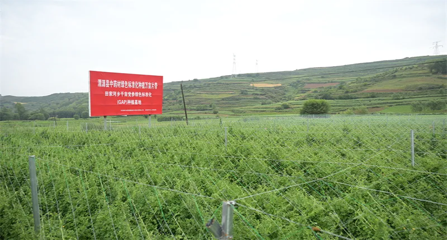 “十四五”答卷 | 甘肃药业集团——聚力引领带动 锚定全链升级