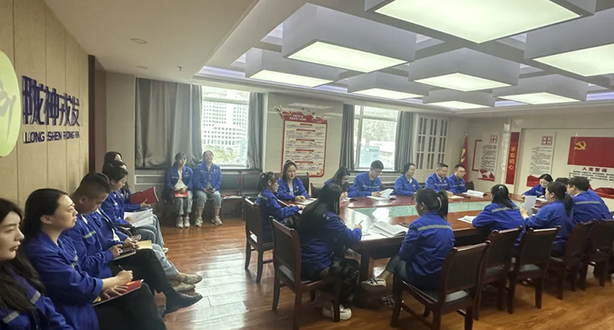 换届启新程 党建促发展——陇神戎发第一党支部换届焕新聚力实干显担当